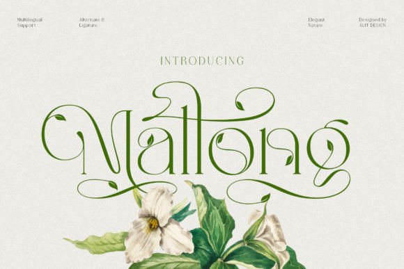 Mallong: Where Classic Serif Meets Organic Charm